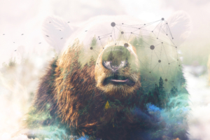 Grizzly bear Forest Double Exposure 4K5071518985 300x200 - Grizzly bear Forest Double Exposure 4K - Maller, Grizzly, Forest, Exposure, Double, Bear